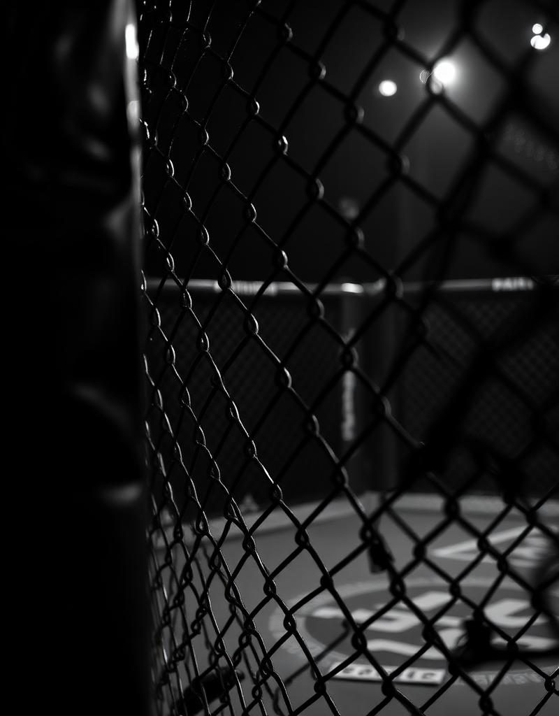 MMA